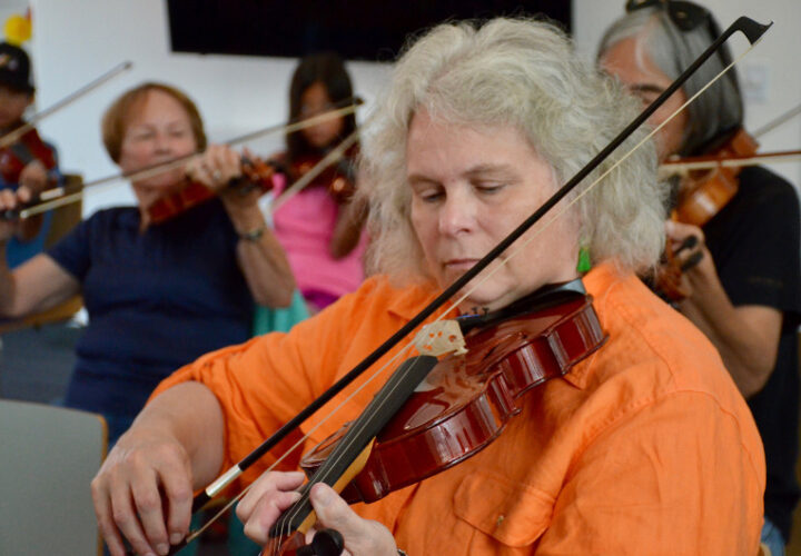 Meaford Independent: “Orchestra In A Day at the Meaford Public Library a Success”
