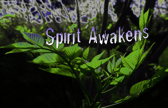 SpiritAwakens